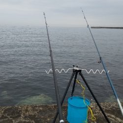 投げは不発。ひのでまえメバリングでお土産（笑）