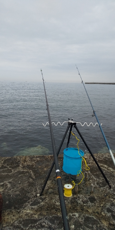 投げは不発。ひのでまえメバリングでお土産（笑）