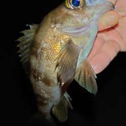 レクチャーパート２