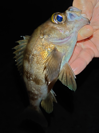 レクチャーパート２