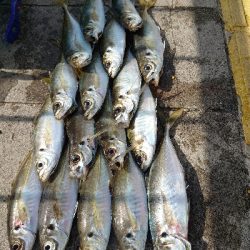 苦手なカゴ釣り