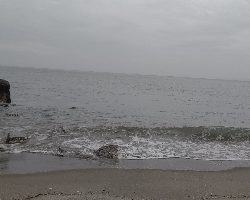 ソゲサイズだが初ヒラメ