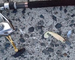 夕マズメのマゴチ！