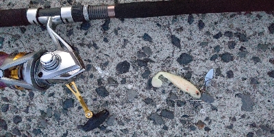 夕マズメのマゴチ！