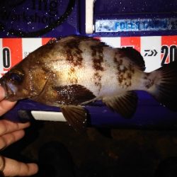 気持ちいい引き