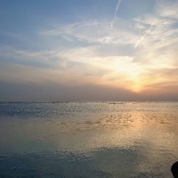 爆風メバリング