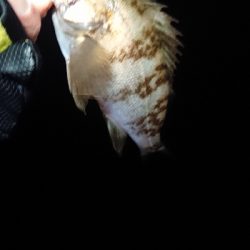 同ポイントにて