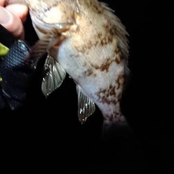 この時期、特有の。