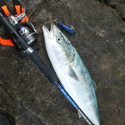 良い日に当たりました