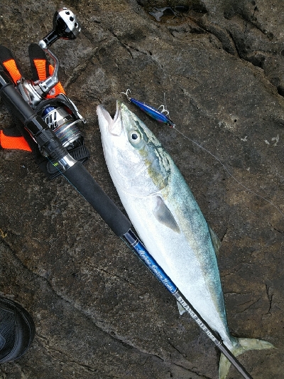 良い日に当たりました