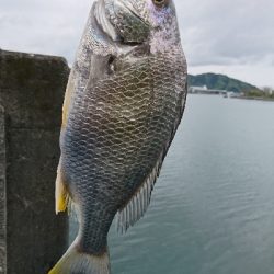初めての釣り場に。