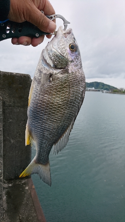 初めての釣り場に。