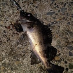 泣きながらかへる。