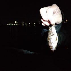 激シブチョイ投げ