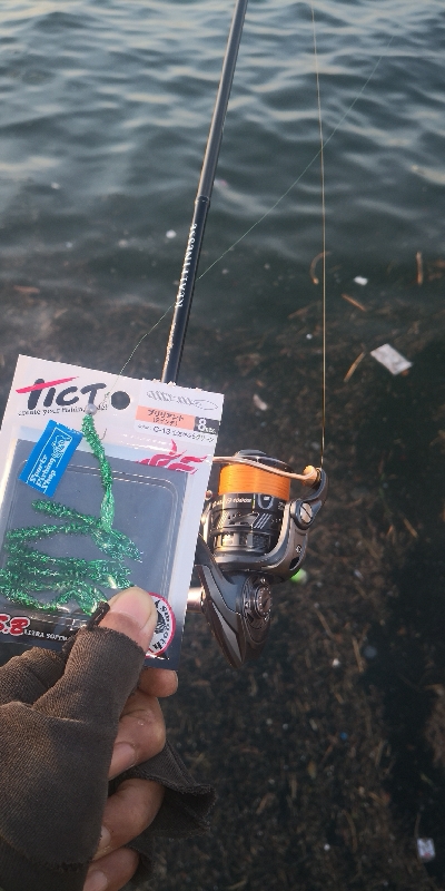 アジング練習　265　