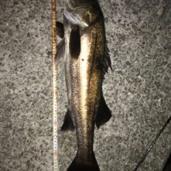 大物ゲスト登場！2021ライトゲーム第9戦