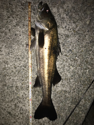 大物ゲスト登場！2021ライトゲーム第9戦…