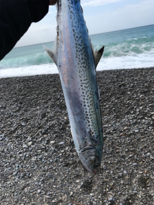 着水すぐのバイト！