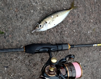 楽しいけど　風強すぎ。