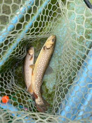 栃木総合運動場フィッシング