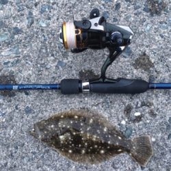 ライトゲームにまさかの…