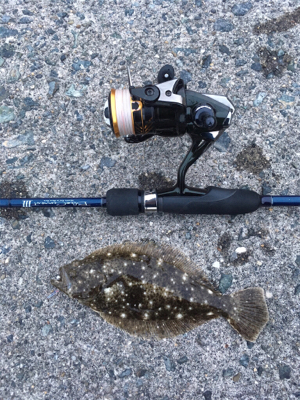 ライトゲームにまさかの…