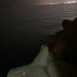 メバル時々シーバス