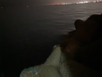 メバル時々シーバス