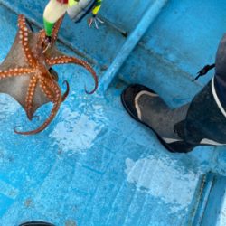 明石タコ　開幕戦