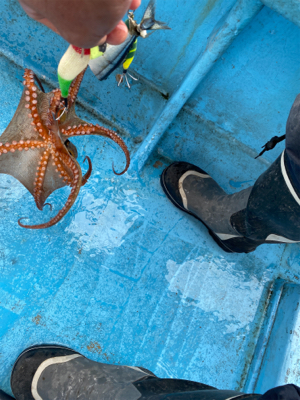 明石タコ　開幕戦