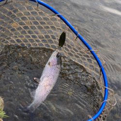 黒保根渓流フィッシング