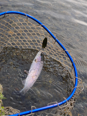 黒保根渓流フィッシング