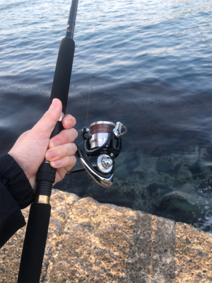 メバリング タコ？