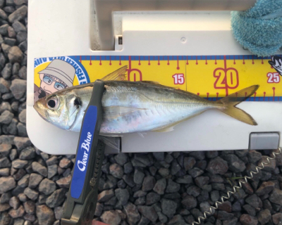 もう少しの辛抱かもしれない