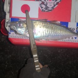 アジング練習　275 宵姫AJカスタムジグヘッド