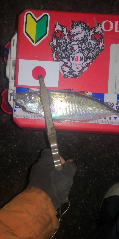 アジング練習　275 宵姫AJカスタムジグヘッド