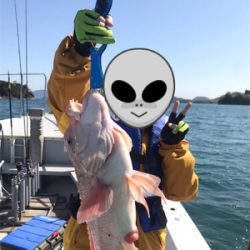 ヒトツテンヤ大撃沈