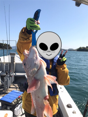 ヒトツテンヤ大撃沈