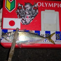 アジング練習　276