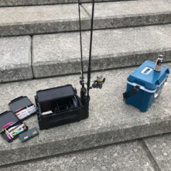 青物情報あったので