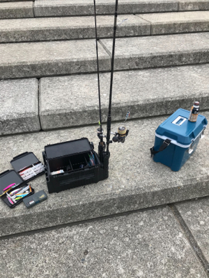 青物情報あったので