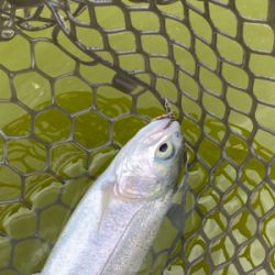 服部緑地、平日はガラガラですよ。