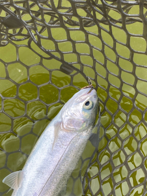 服部緑地、平日はガラガラですよ。