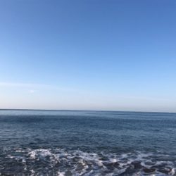 ナブラ打ち！メジロゲット！！