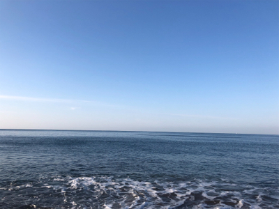 ナブラ打ち！メジロゲット！！