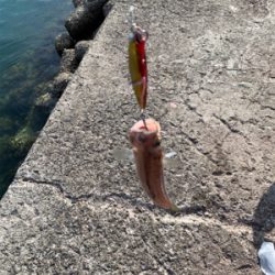 爆風の中エソンガー