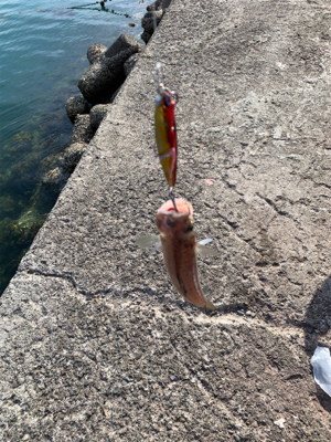 爆風の中エソンガー