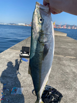 諦めかけた時に。。。