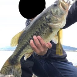 スピニング5ポンドラインでまさかの50アップ