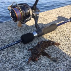 ライトタックルで餌釣り